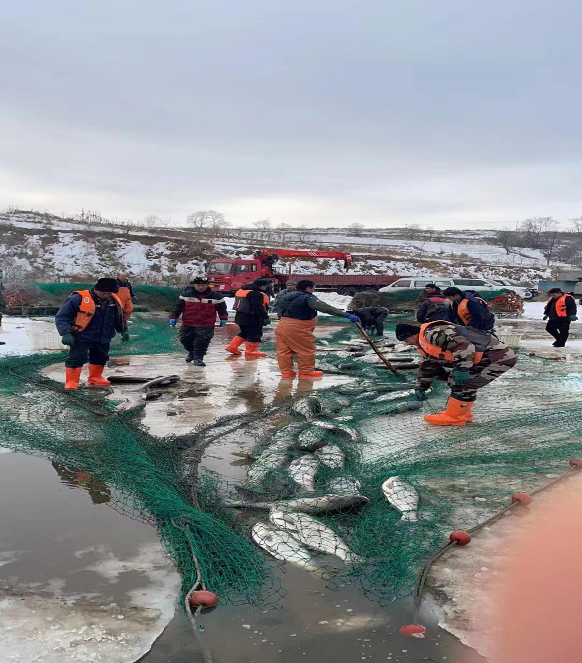 WPS圖片編輯.png WPS圖片編輯.png